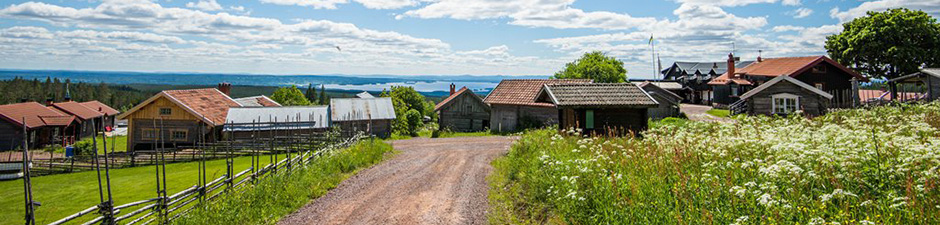 Fotograf, Orsa