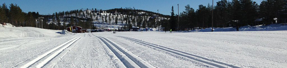 Längdskidor, instruktör i Sälen