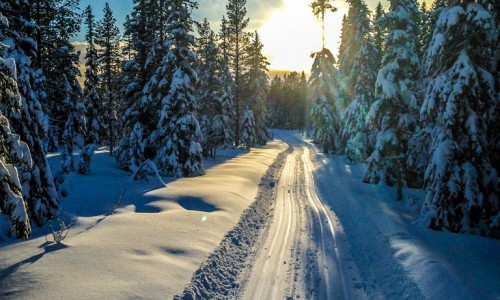 Skidlektionerna är igång för fullt!