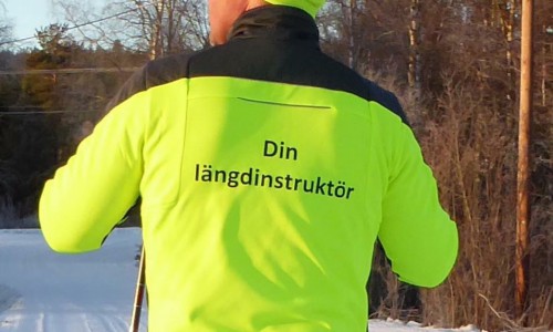 Skidlektioner